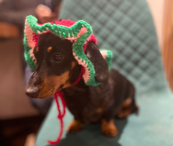 Crochet Dog Watermelon Sun Hat | Etsy 