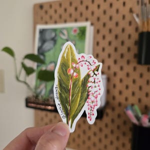 May include: A sticker featuring a botanical illustration of a plant with a large green leaf and a cluster of pink flowers. The sticker has a white border and the artist's name, "@jackie-draws_," is printed on the side.
