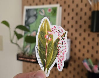 Gettou Flower Sticker: Okinawa Shell Ginger,  Watercolor Art
