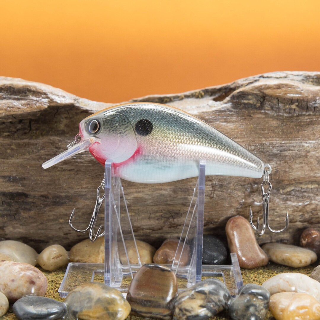 Threadfin Shad. Premium Custom Painted Diving Crankbait Etsy