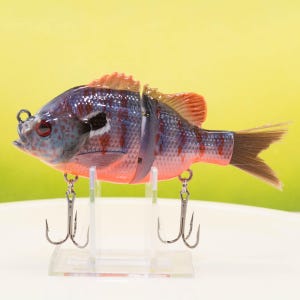 bass fishing with a sunfish lure (Set of 2) 4 inch Blue Gill Sun Fish Panfish Talipia for (Blue Gill) : Sports & Outdoors up in dense Long Ear Sunfish: Custom Painted