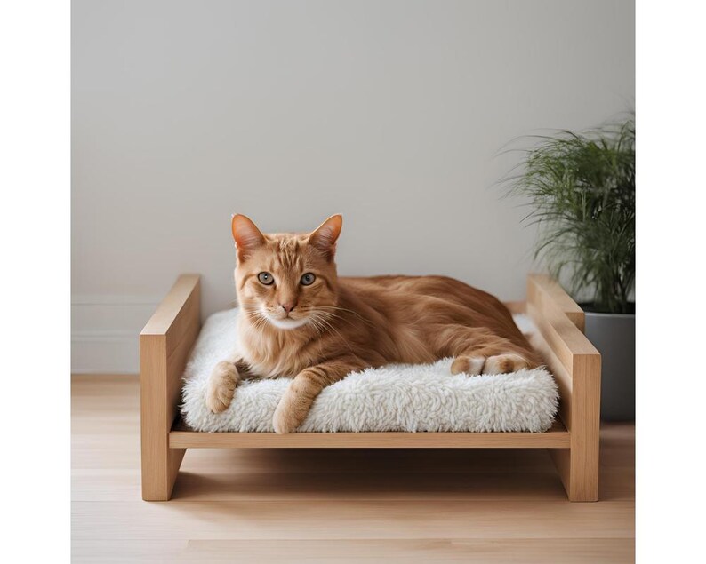 DIY Wooden Cat Bed Plans Build a Cozy and Stylish Wooden Cat Lounge