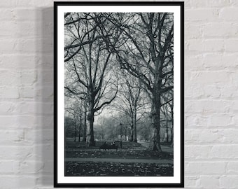 Giclee Photo Print 'A Morning in Green Park' | FINE ART | Nature Photography