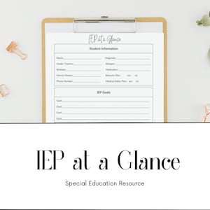 Special Education IEP at a Glance, IEP Snapshot, IEP Meeting Notes Instant Download Printable