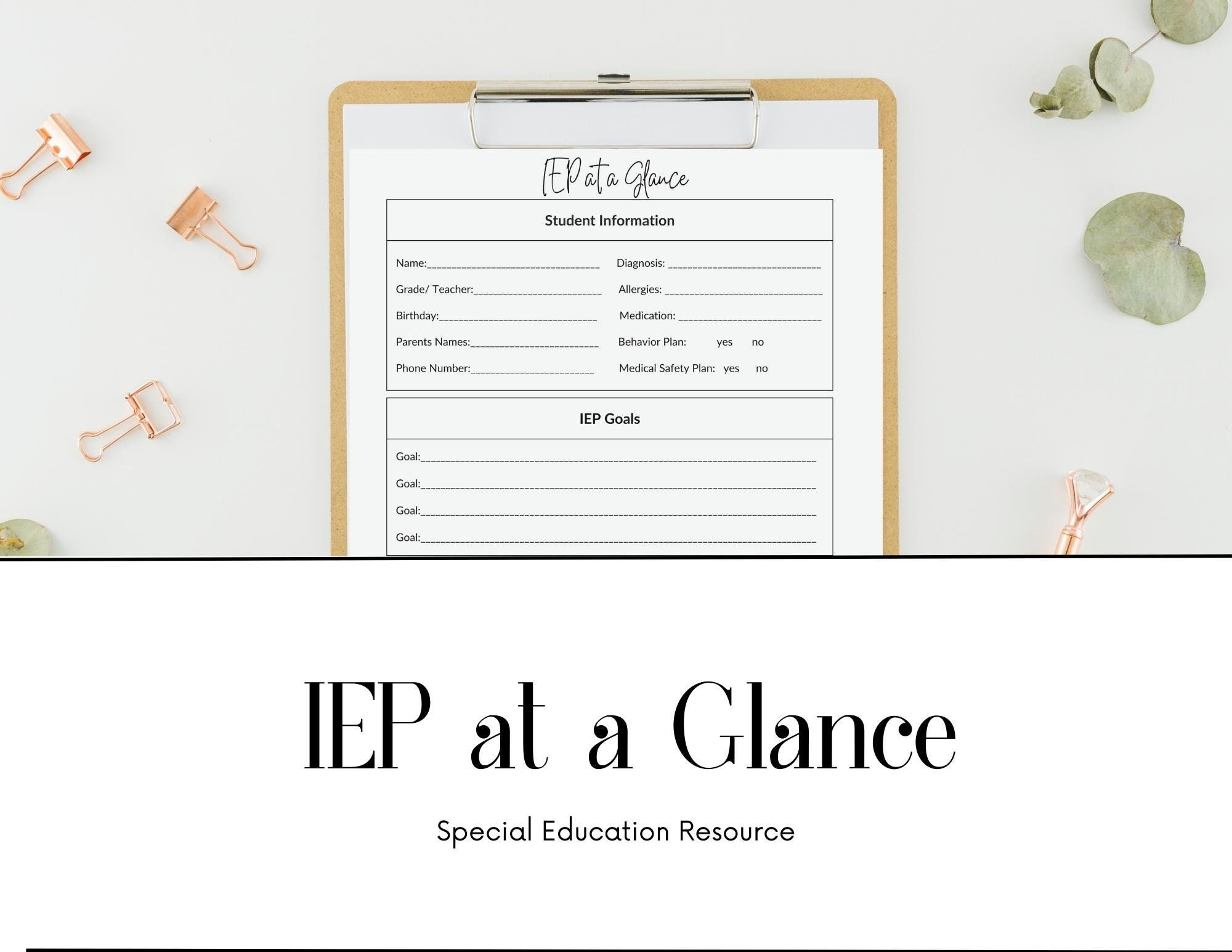 special-education-iep-at-a-glance-iep-snapshot-iep-meeting-notes-instant-download-printable-etsy