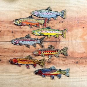 Può includere: Sette toppe di pesci ricamate in vari colori, tra cui rosso, giallo, blu e arancione, sono disposte su una superficie di legno. Le toppe raffigurano diverse specie di pesci, con cuciture e squame dettagliate.