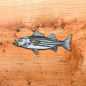 Striped Bass Embroidered Patch | 4 Inch Iron On Fishing Patch for Hats, Jackets & Gear