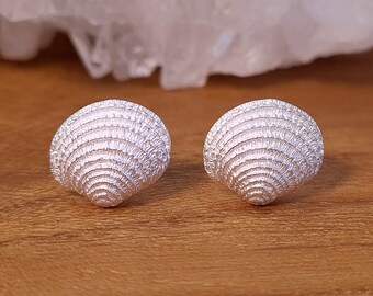 Shell stud earrings - silver stud earrings - silver stud earrings - simple stud earrings - sterling silver 925 - nickel-free - shell earrings
