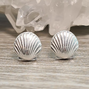 Shell stud earrings - stud earrings - silver stud earrings - shell - earrings - shell earrings - sterling silver - nickel-free - silver earrings -925