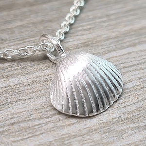 Shell pendant with necklace 45 cm long - necklace pendant - small silver pendant - silver shell - silver chain - anchor chain - nickel-free