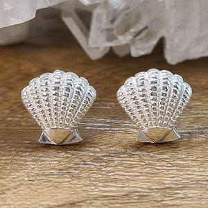 Shell stud earrings - silver stud earrings - shell as stud earrings - shell earrings - silver earrings - shell - stud earrings - sterling silver