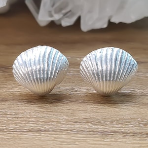 Shell stud earrings - shell earrings - silver stud earrings 925 - silver - silver earrings - shell earrings - nickel-free - polished - satin-finished