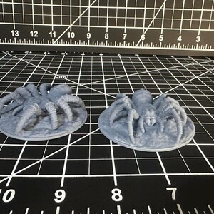 Giant Spider 28mm, for Dungeons and Dragons or your favorite RPG – Fat Dragon Games image 4