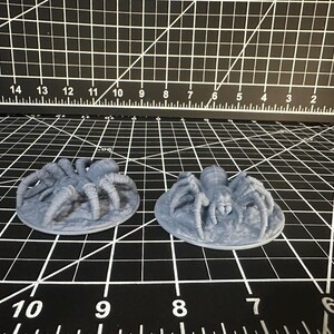 Giant Spider 28mm, for Dungeons and Dragons or your favorite RPG – Fat Dragon Games image 5