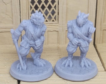 Dragonborn 28mm miniatures, Dungeons and Dragons