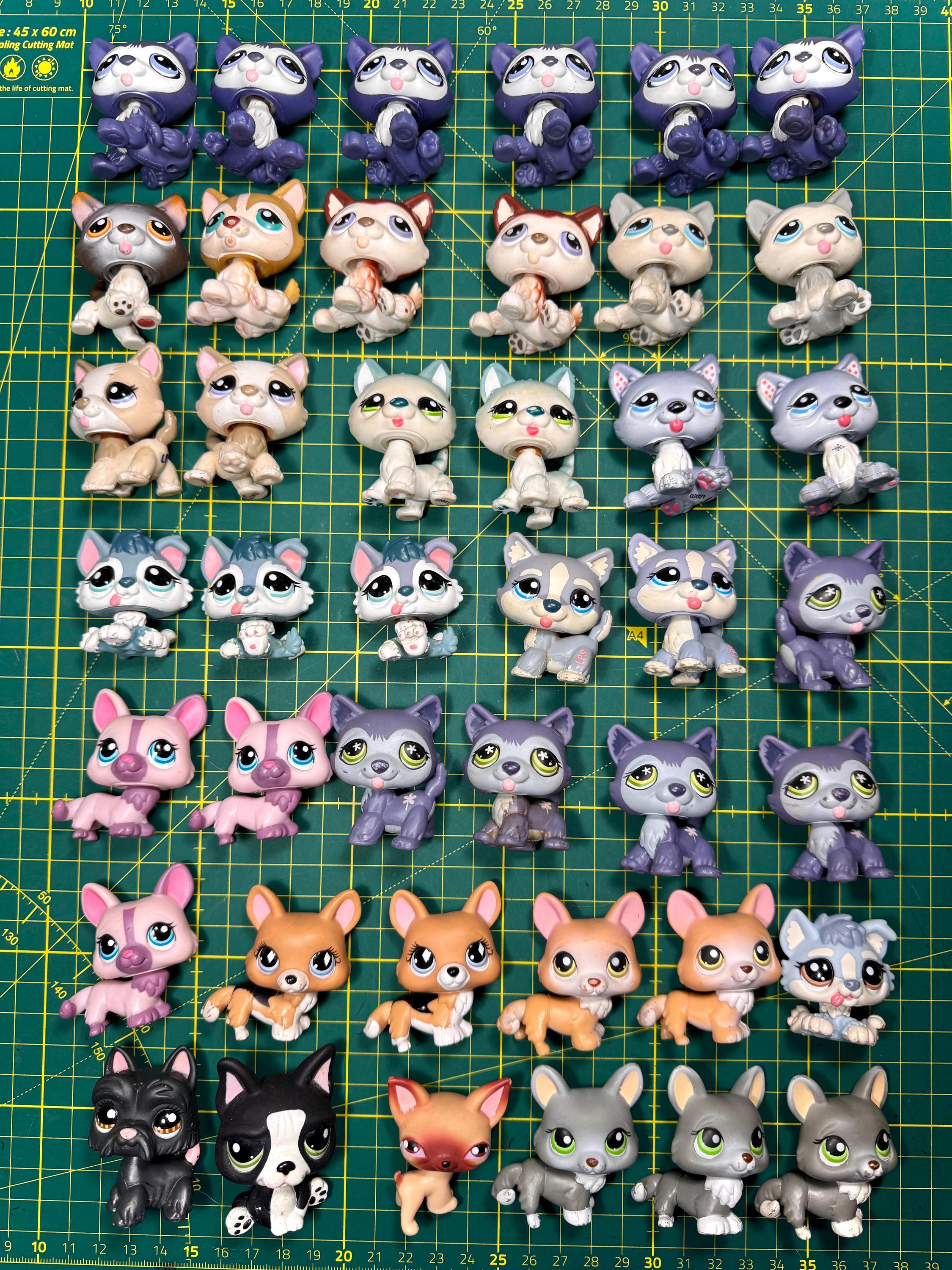 LITTLEST PETSHOP LPS HASBRO chat persan REF 36