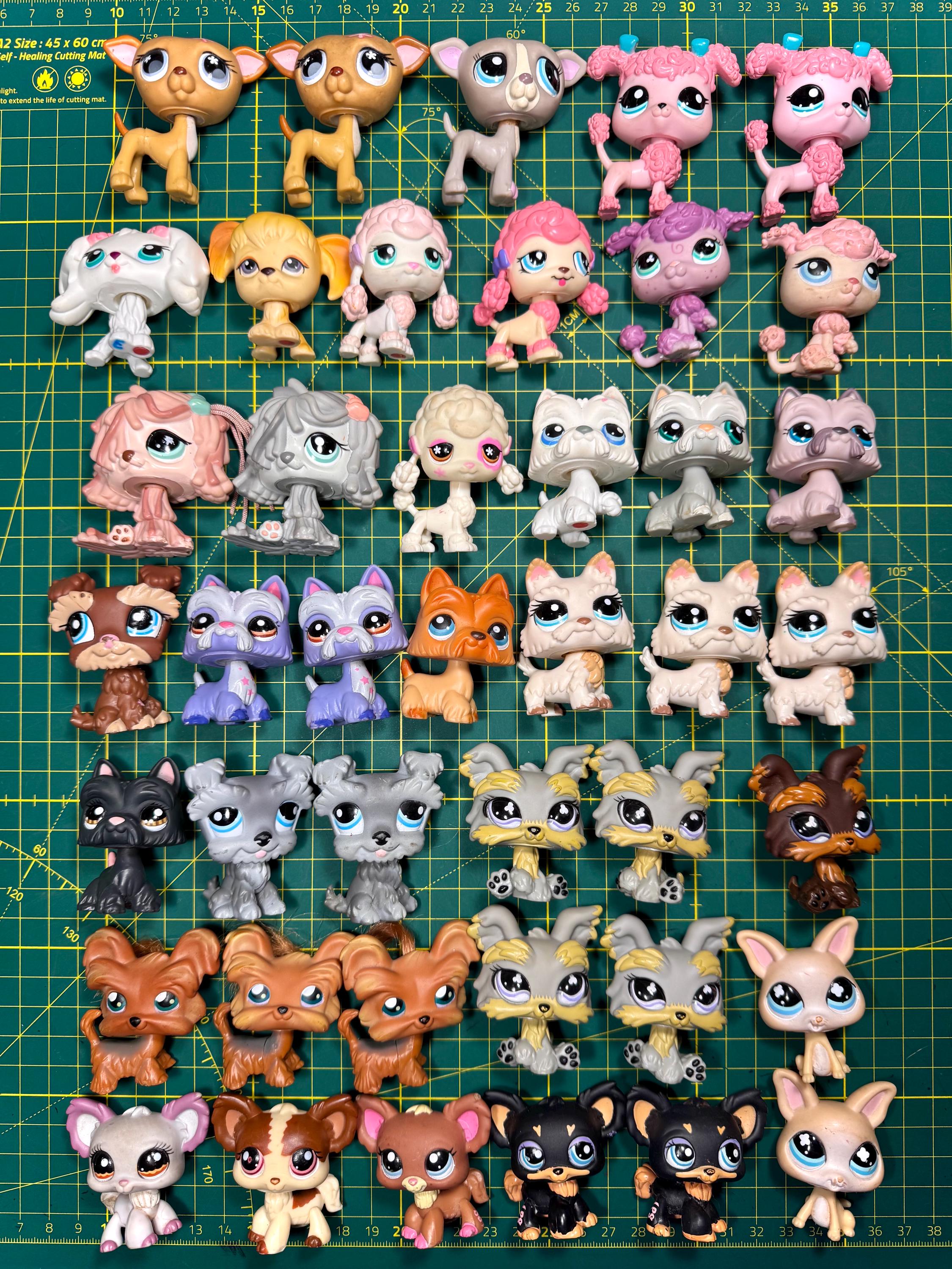 Littlest Pet Shop #886 – Chat Européen Shorthair, Authentique LPS -142