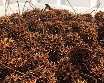 sweet gum tree spiked balls seed pods for crafting