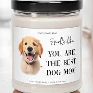 Best candles for dog smell top