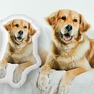 Custom 3D Pet Pillow, Custom Shaped Pillow from photo, Pet Memorial Gift, Personalized Dog Pillow, Cat Pillow, Pet Lover Gift, body pillow