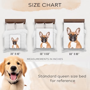 Op de afbeelding: Een maattabel voor dekens met een illustratie van een Franse Bulldog. Drie dekens worden getoond op bedden in de maten 30 bij 40 inch, 50 bij 60 inch en 60 bij 80 inch. Tekst: SIZE CHART, MEASUREMENTS IN INCHES, Standard queen size bed for reference.