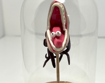 Beetlejuice, Barbra, miniature, terrarium