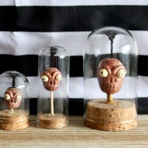 Shrunken head, terrarium, Beetlejuice, Halloween, miniature