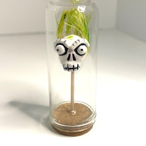 Shrunken head, terrarium, Beetlejuice, Halloween, Bob head, miniature