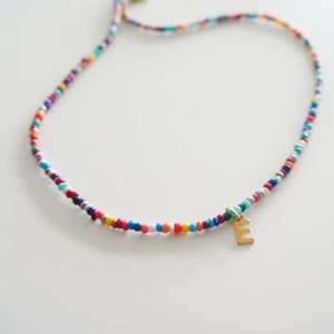 Seed Bead Necklace Multicolor Rainbow Beaded Necklace Gift for Girls Friendship Necklace Custom Gold Initial Charm Multiple Colors Available image 6