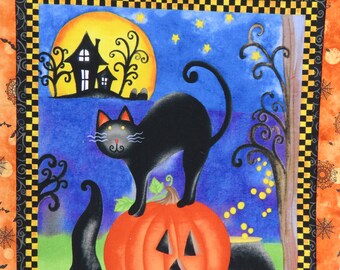 Trick or treat bag, Kids  tote bag, boy or girl Halloween candy bags, fun gift bag for anyone, gift bag, kitty bag