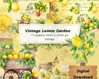 Vintage Lemon Garden Scrapbook paper