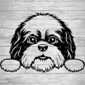 Fichiers SVG, EPS et PNG de chien Shih Tzu