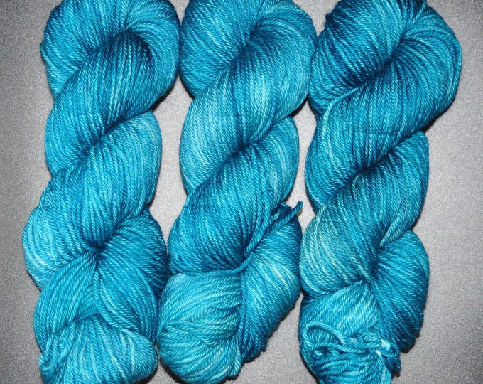 Frosted Spruce - Merino Nylon Worsted Hand Dyed Yarn