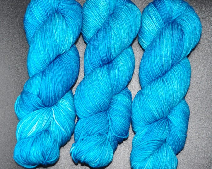 Dacnis Cayana - Merino Nylon Fingering Hand Dyed Yarn