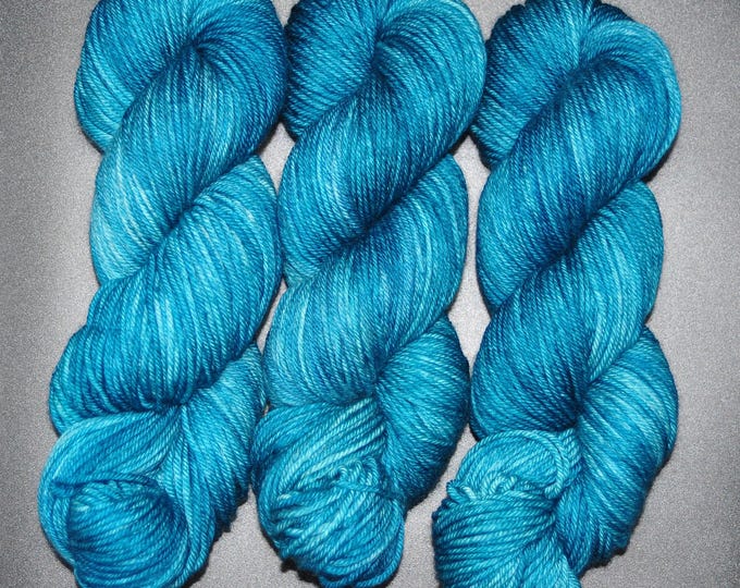 Frosted Spruce - Merino Nylon DK Hand Dyed Yarn