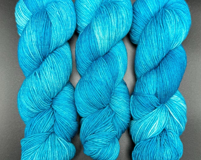 Dacnis Cayana - Merino Nylon Fingering Hand Dyed Yarn