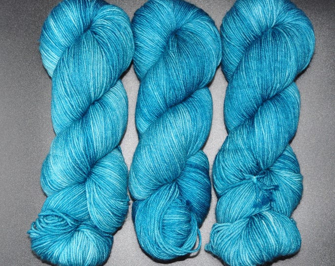 Frosted Spruce - Merino Nylon Fingering Hand Dyed Yarn