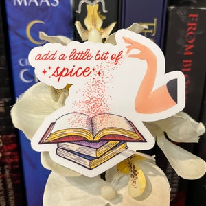 Add A Little Bit of Spice -  Book Boyfriends - Bookish - Smutty Books - Spicy Books - Booktok - Laptop Decal - Vinyl Sticker