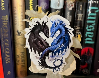 Tairn and Andarna Fourth Wing Sticker Bookish Booktok Laptop Decal