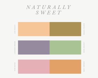 Receta de color de arcilla polimérica - Naturalmente dulce - Guía de colores de arcilla polimérica - Mezcla de colores de arcilla Cernit - Descarga digital - Paleta pastel
