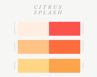 Receta de color de arcilla polimérica - Citrus Splash - Guía de colores de arcilla polimérica - Mezcla de colores de arcilla Cernit - Descarga digital - Paleta cálida