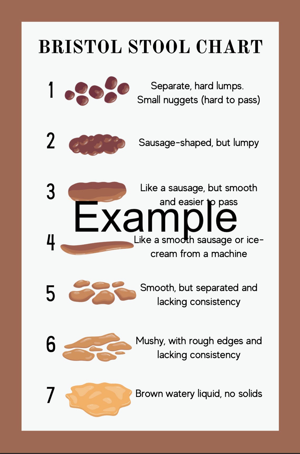 Bristol Stool Chart Clinic Resource Etsy