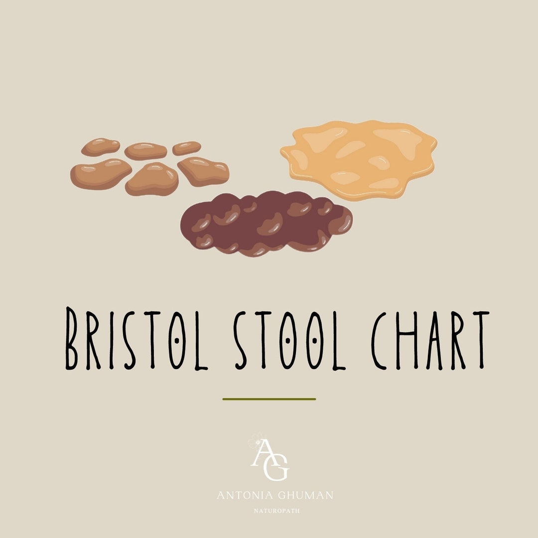 Bristol Stool Chart - Clinic Resource - Etsy