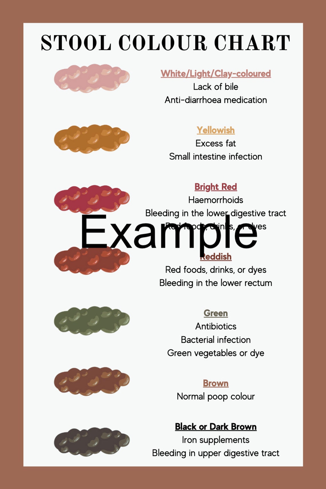 Bristol Stool Chart - Clinic Resource - Etsy