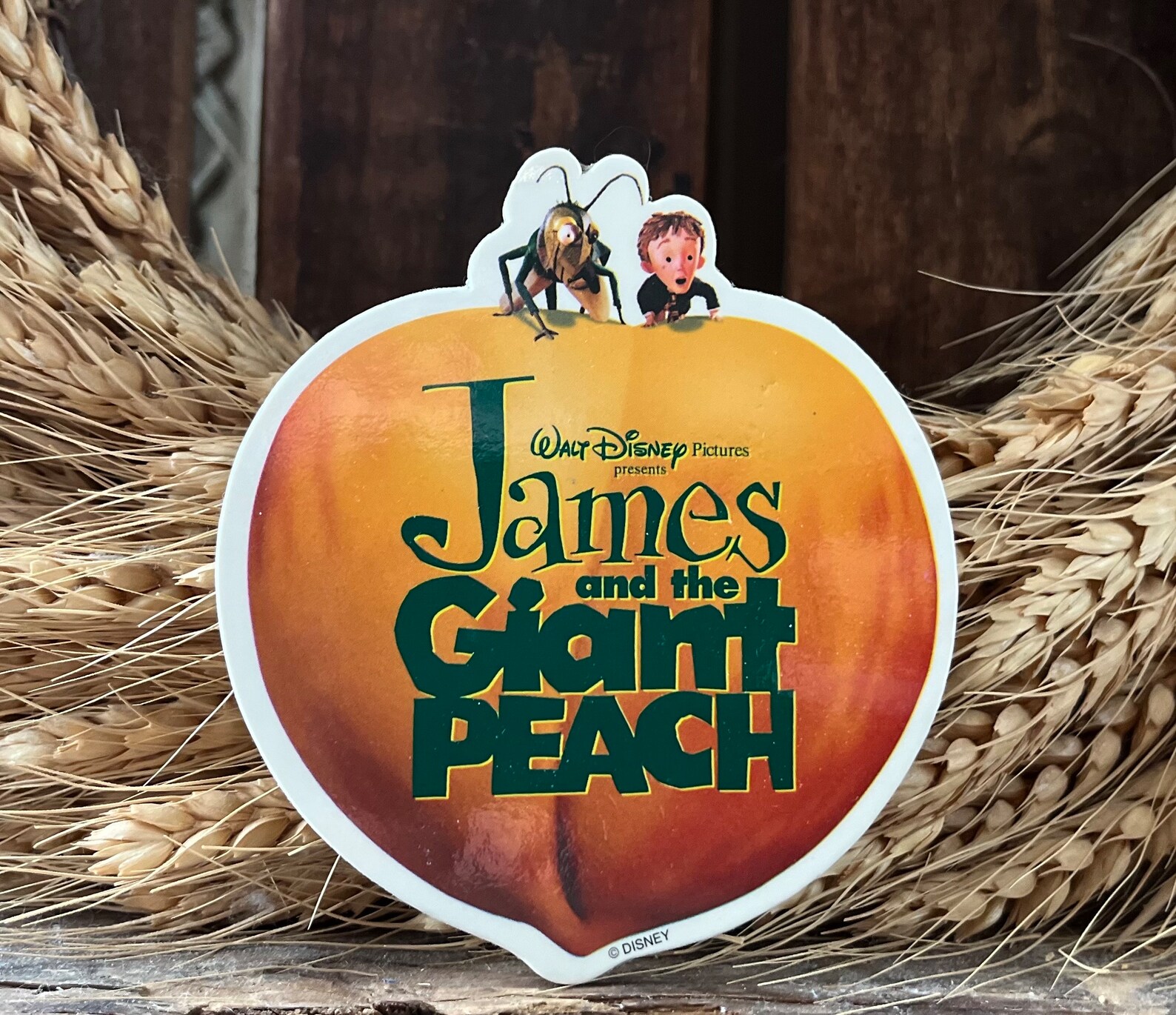 Vintage 1996 James and the Giant Peach Pinback Button - Etsy