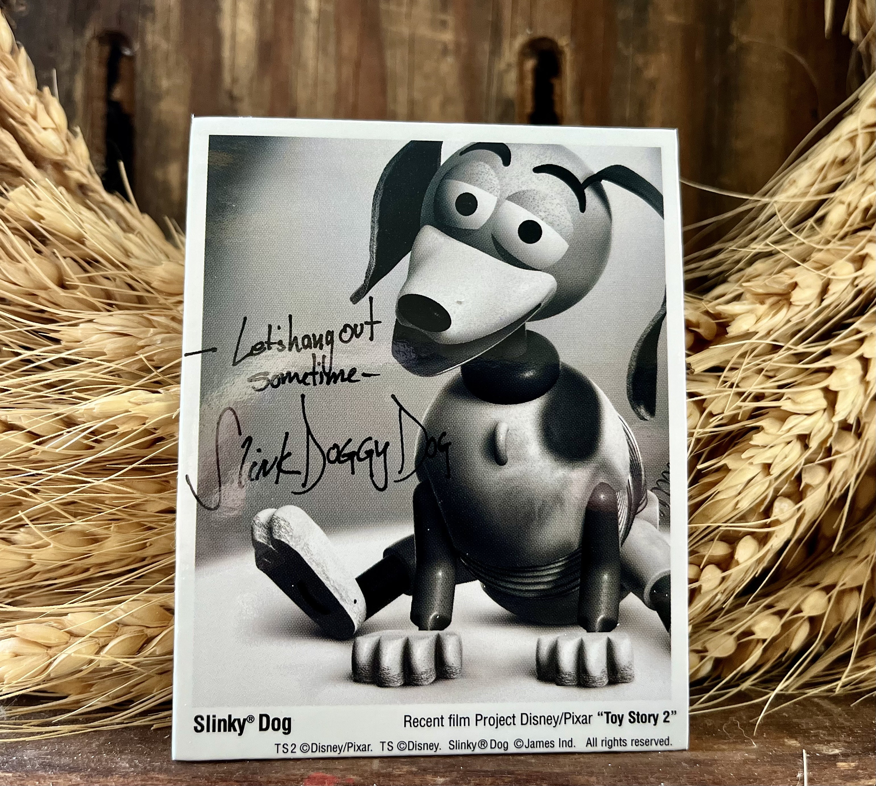 Vintage Toy Story 2 Slinky Dog Pin Back Button: 1999 Movie Promo