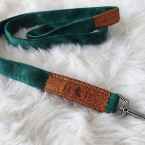May include: A green and brown dog lead with a metal clip. The lead has a brown leather patch with the word "HIP" embossed on it.