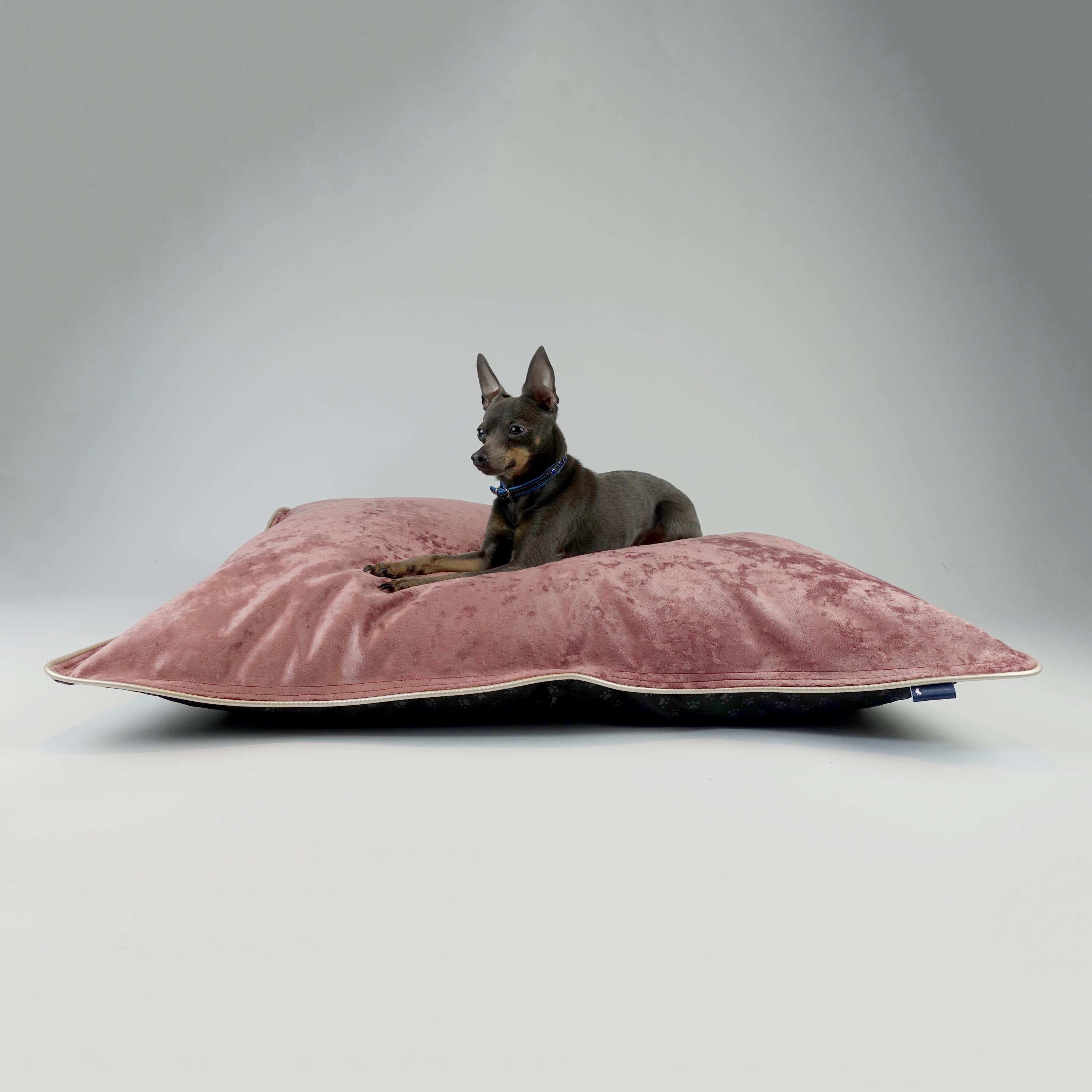 Easy clean dog bed Etsy Canada
