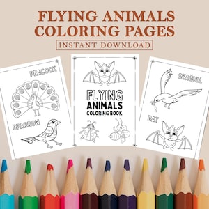 Flying Animals Printable coloring pages, toddlers, preschoolers, Coloring Book Coloring Page Preschool Kindergarten Homeschool Printables
