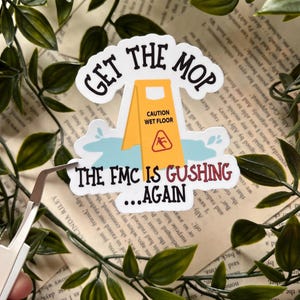 Bookish Smut Sticker// Kindle Sticker, smutty Sticker, Bumper Sticker, Bookish Gift Booklover, dark romance, smut lover, adult sticker